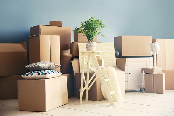 VEDIKA LOGISTICS PACKERS & MOVERS