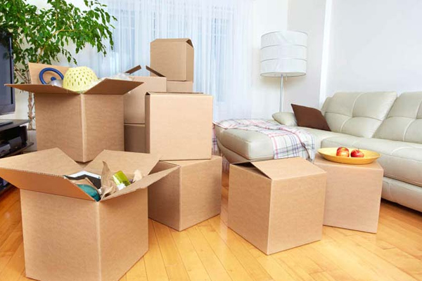 VEDIKA LOGISTICS PACKERS & MOVERS